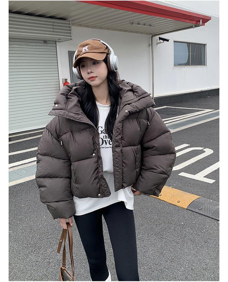Plain Hooded Zip-Up Crop Puffer Jacket Product Image