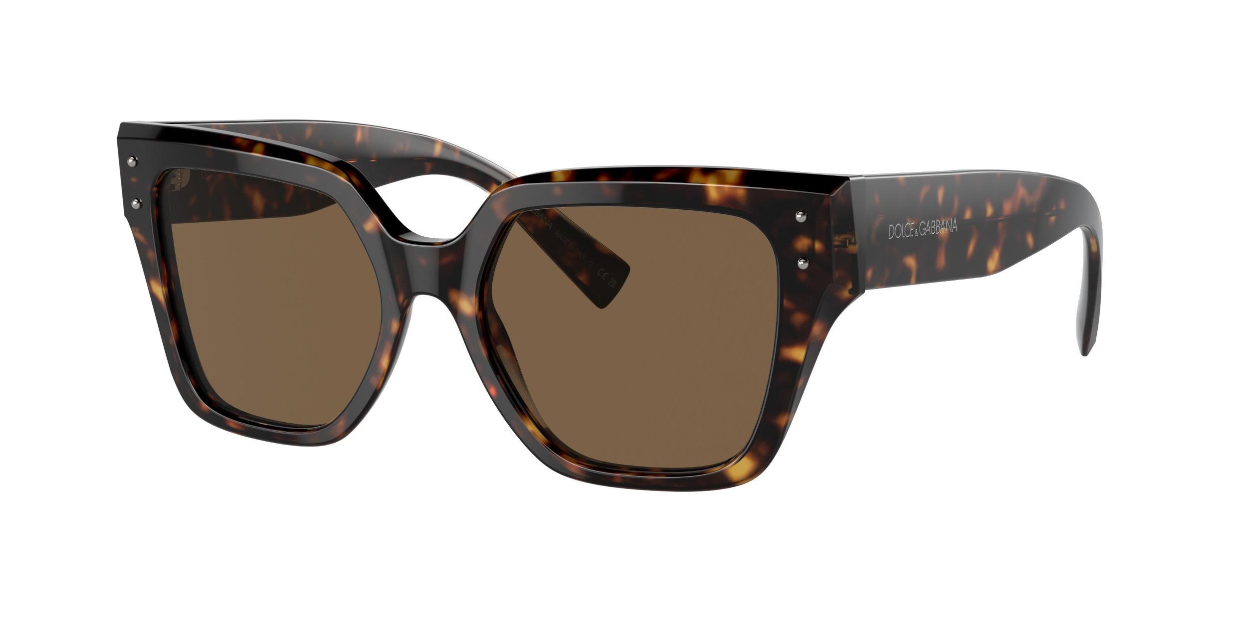 DOLCE & GABBANA Dolce&gabbana Woman Sunglass Dg4471f In Brown Product Image
