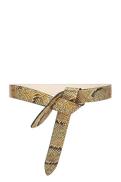 Isabel Marant Lecce Belt in Beige Product Image