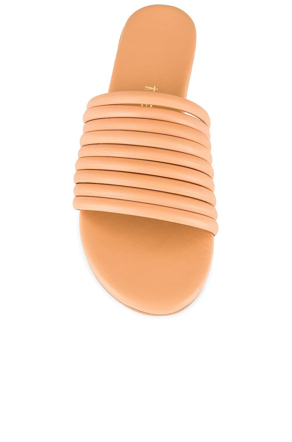 Caro Sandal TKEES Product Image