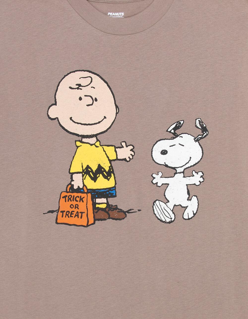 RSQ x Peanuts Trick Or Treat Mens Oversized Tee - TAUPE Product Image