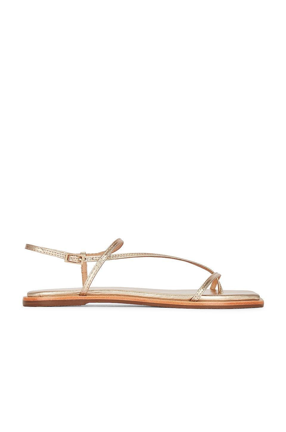 Alayta Sandal Kaanas Product Image