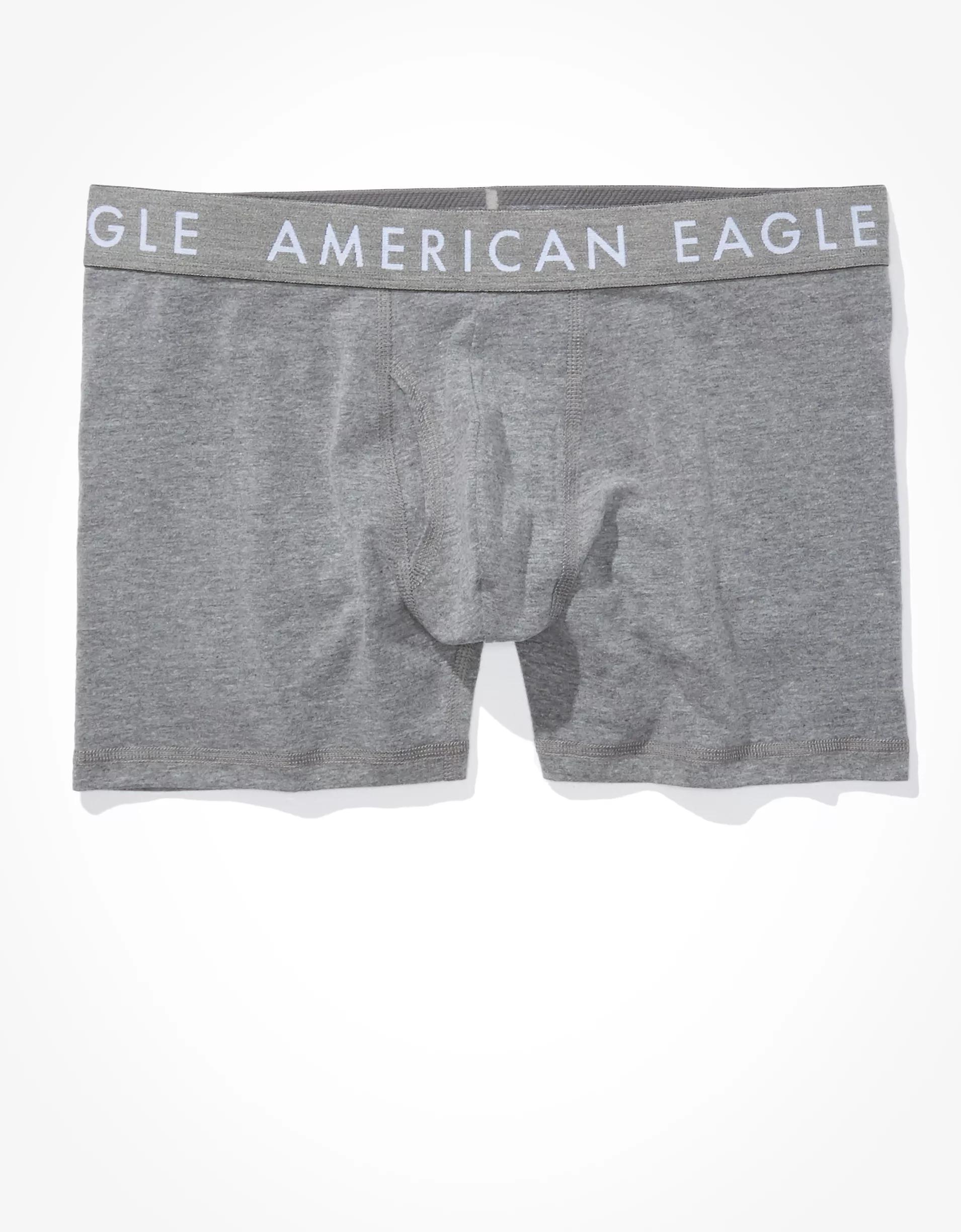 AEO Men's Space Dye 4.5" Classic Boxer Brief Product Image