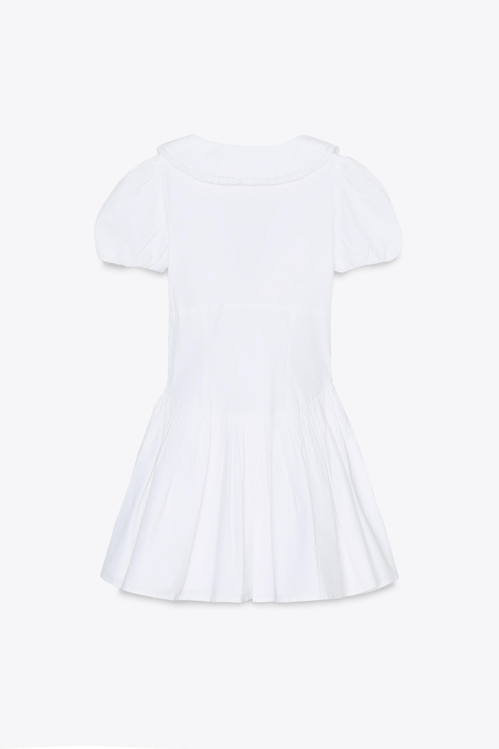 PETER PAN COLLAR POPLIN DRESS Product Image