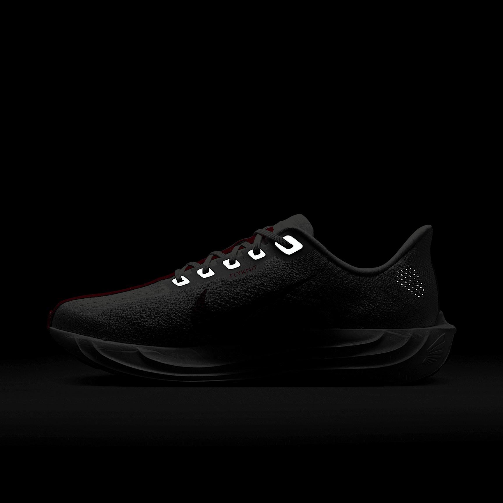 Nike Men's Pegasus Plus Road Running Shoes Product Image