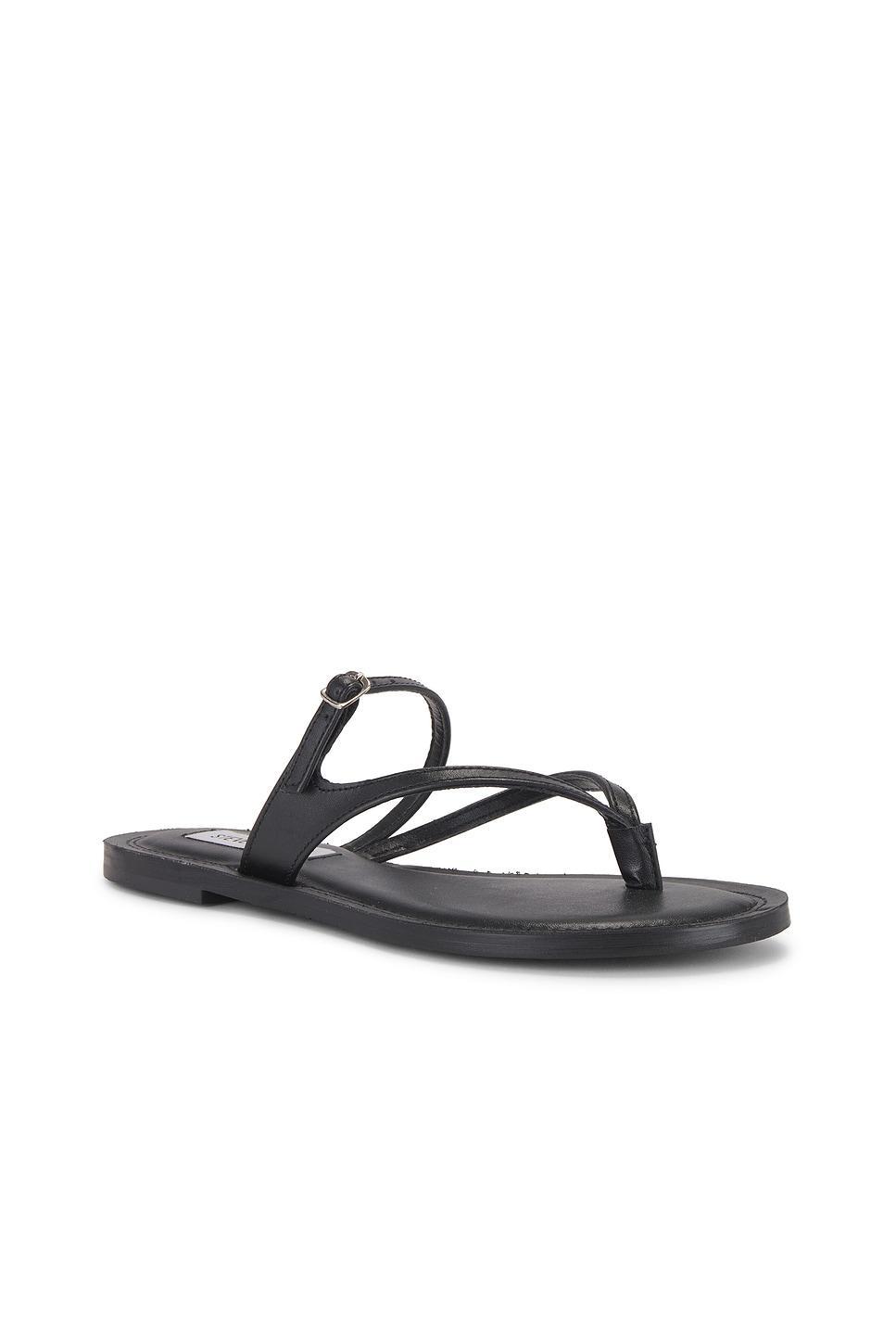Roca Sandal Steve Madden Product Image