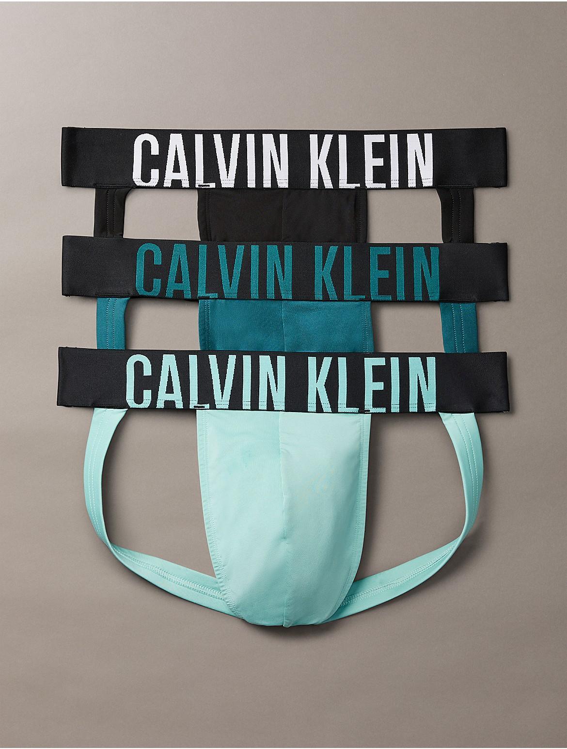 Mens 3-Pack Intense Power Pride Logo Jock Strap Product Image