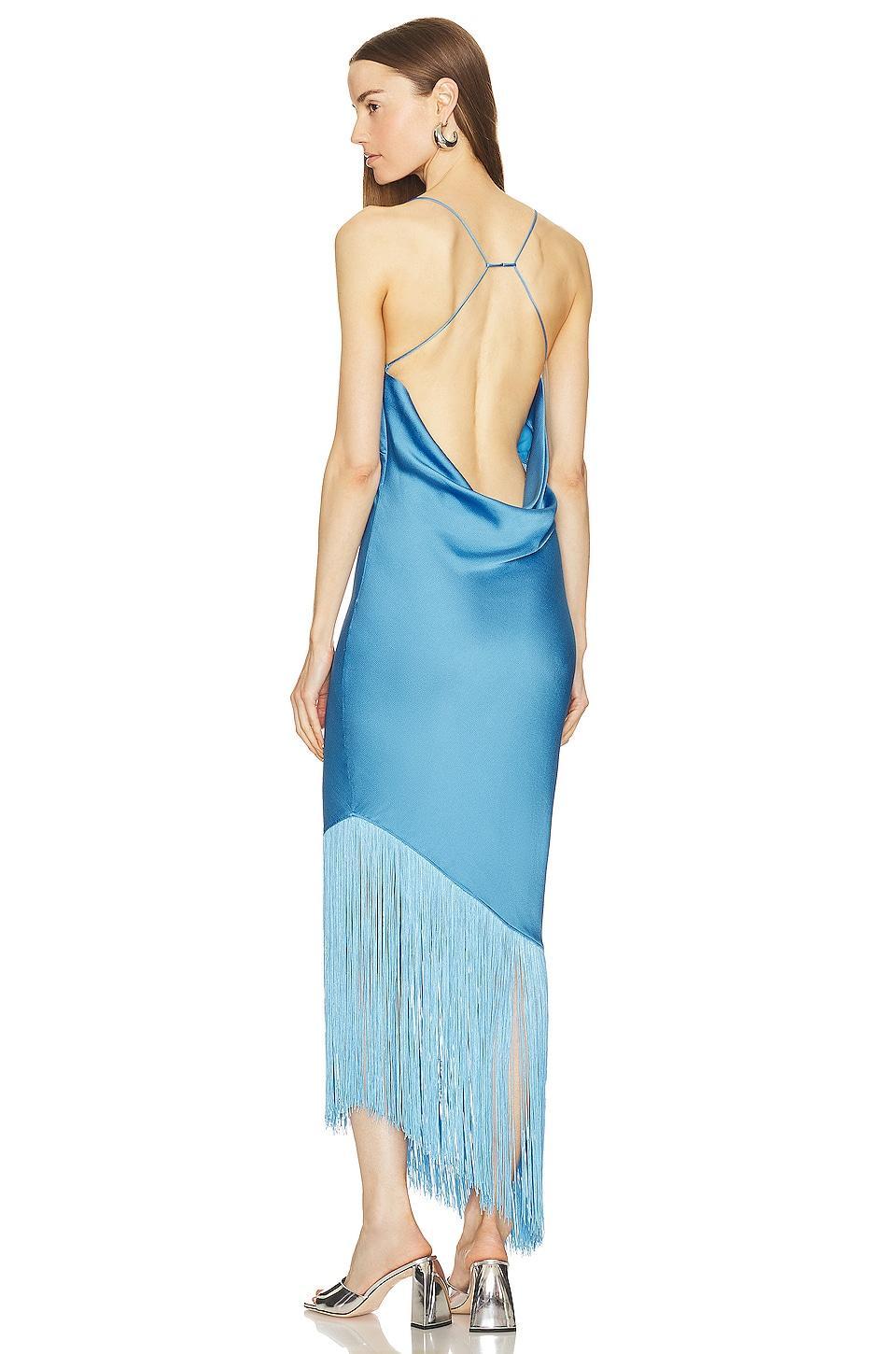 Haverine Fringe Maxi Dress SAYLOR Product Image