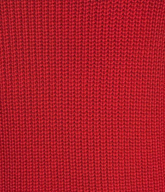 Antonio Melani Tilly Wool Blend Crew Neck Feather Detail Long Sleeve Sweater Product Image
