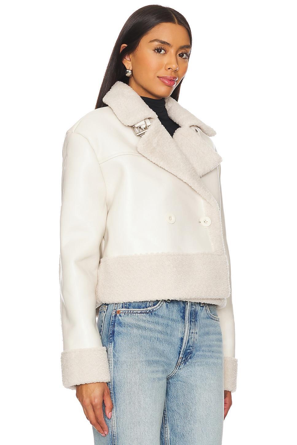 Athen Jacket Steve Madden Product Image