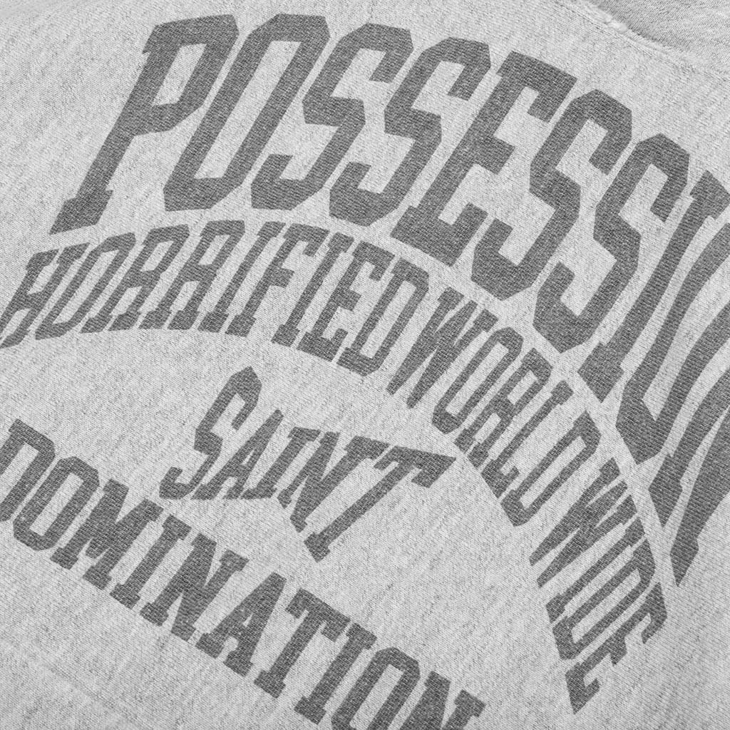 Possession Hoodie - Grey Male Product Image