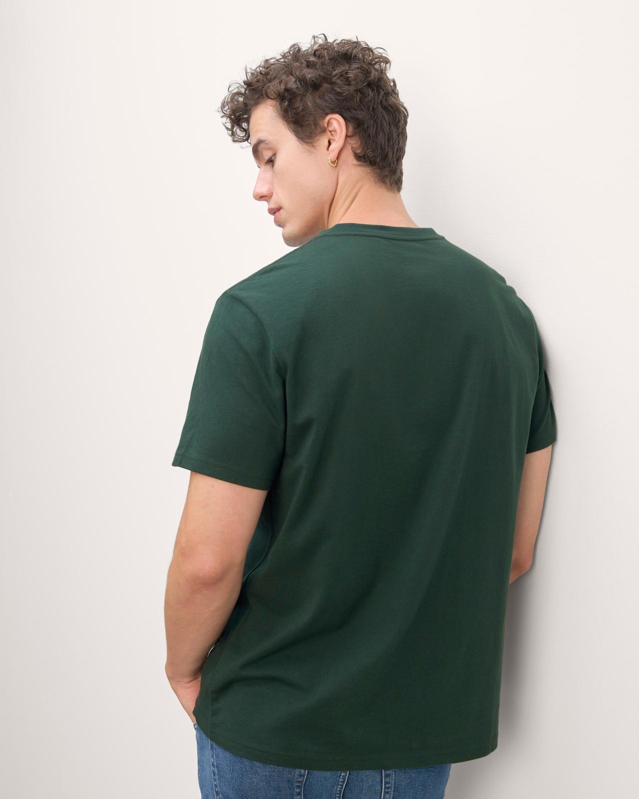 Mens Essential Organic V-Neck T-Shirt by Everlane Product Image
