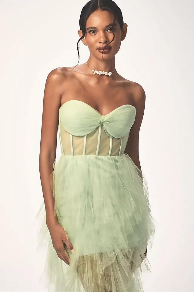 Mac Duggal Strapless Bustier Ruffled Tulle Maxi Dress Product Image