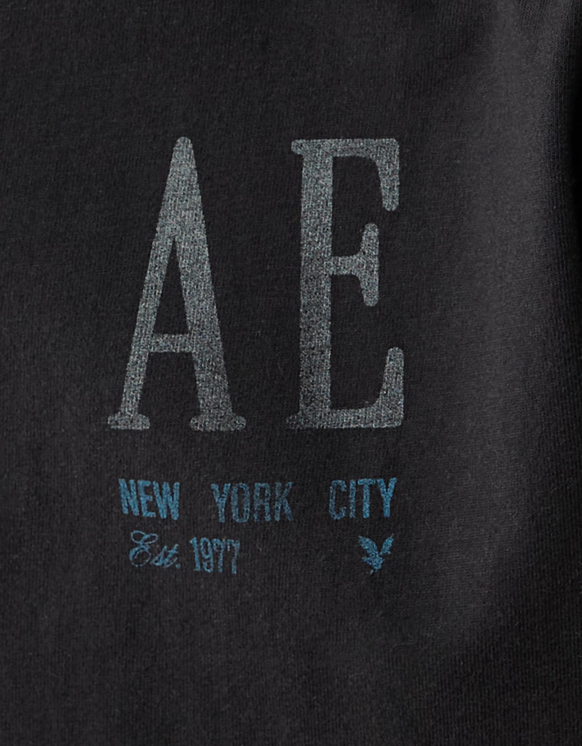AE Logo Graphic T-Shirt Product Image