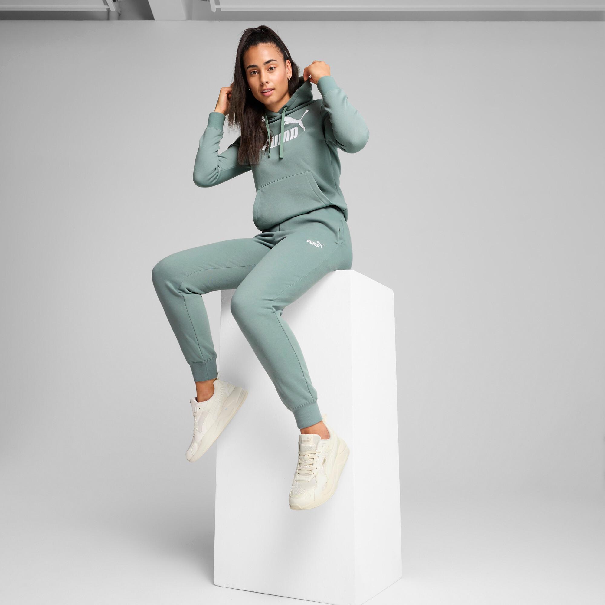 PUMA Essentials No. 1 Logo Womens Hoodie Product Image