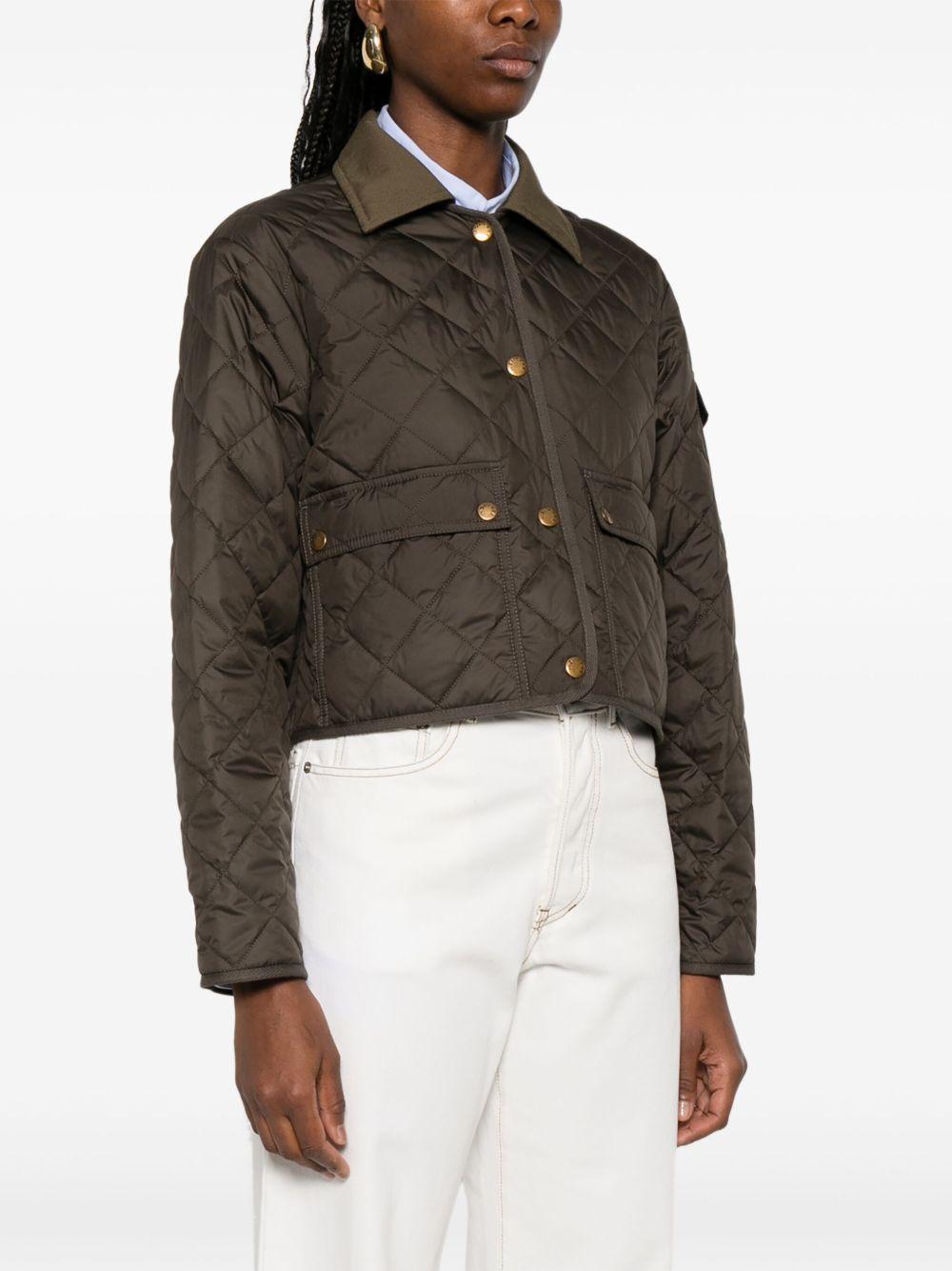 Chitre jacket Product Image