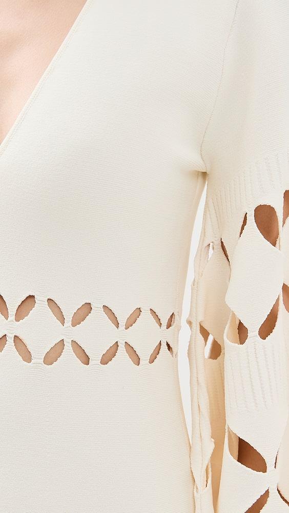 ALEXIS Linden Mini Dress | Shopbop Product Image