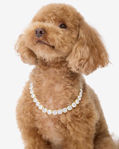 Royal Pet Tennis Necklace - Gold|White Diamondettes Product Image