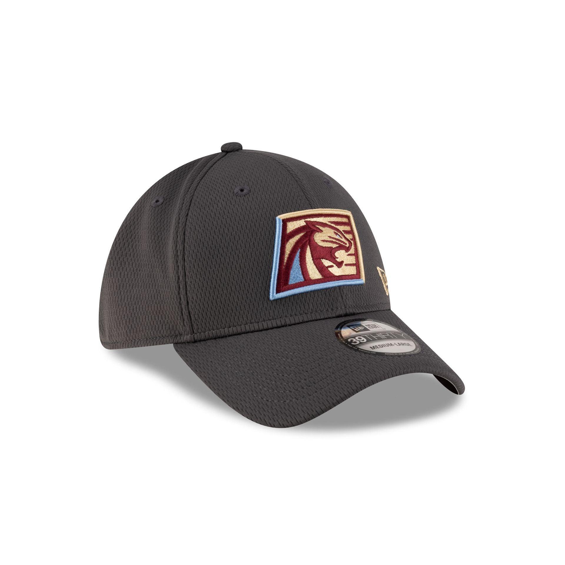 Cleveland Cavaliers Team Classic 39THIRTY Stretch Fit Hat Male Product Image