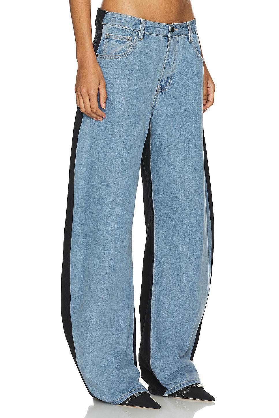 Horseshoe Jean LIONESS Product Image