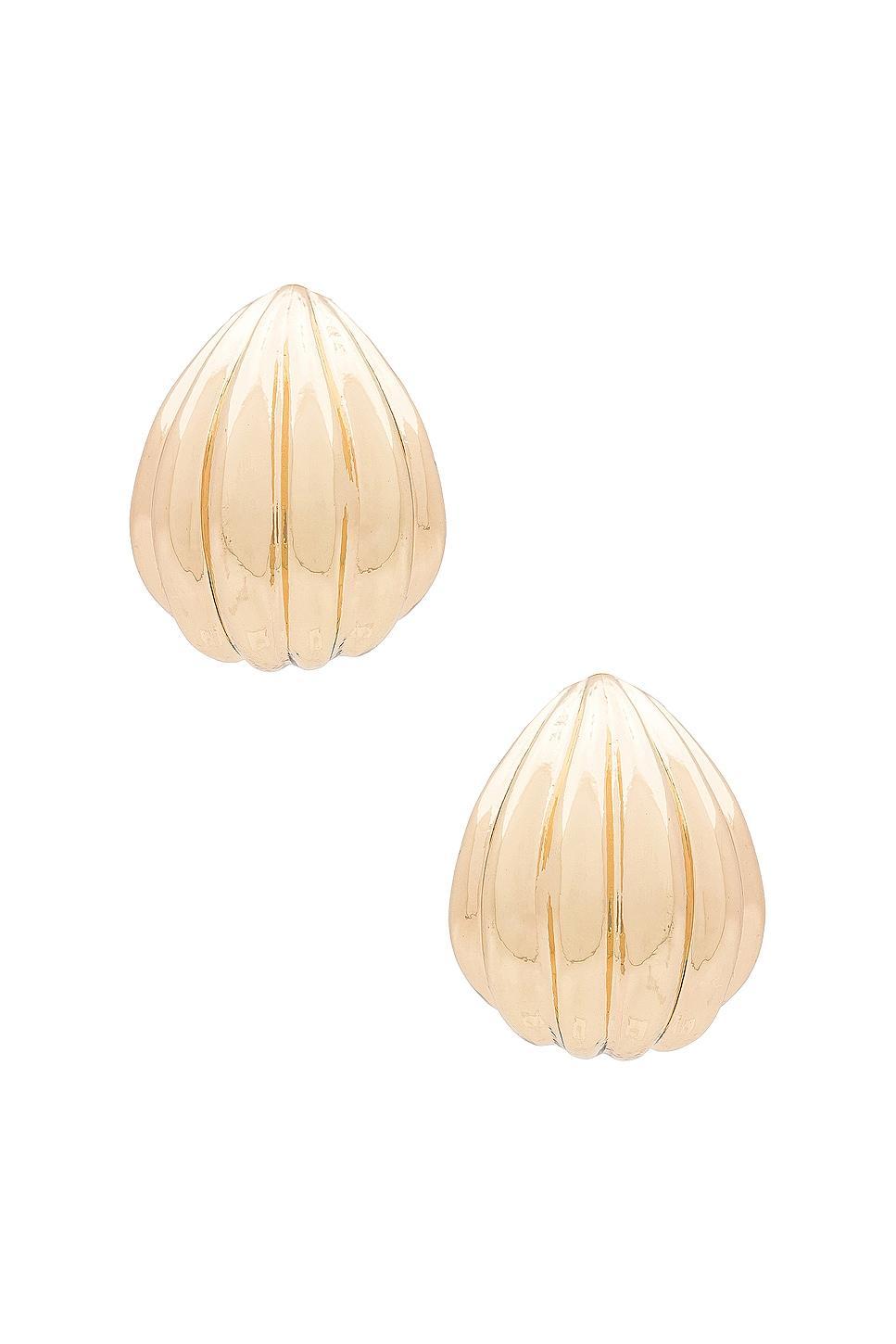 Shell Hoop Earrings 8 Other Reasons Product Image