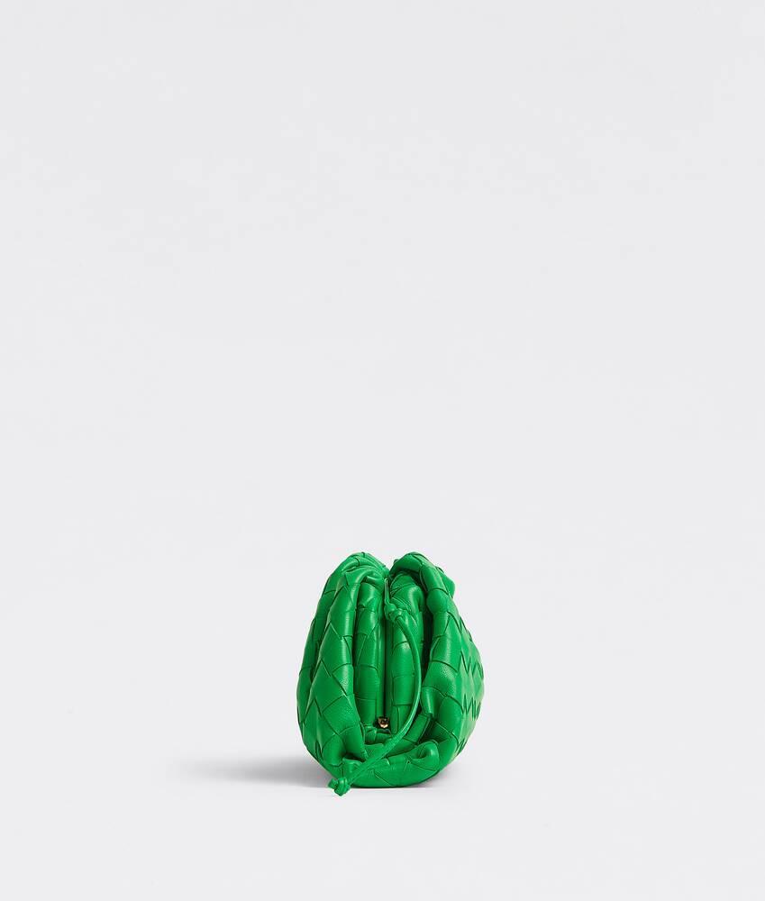 Mini Pouch in Parakeet Product Image