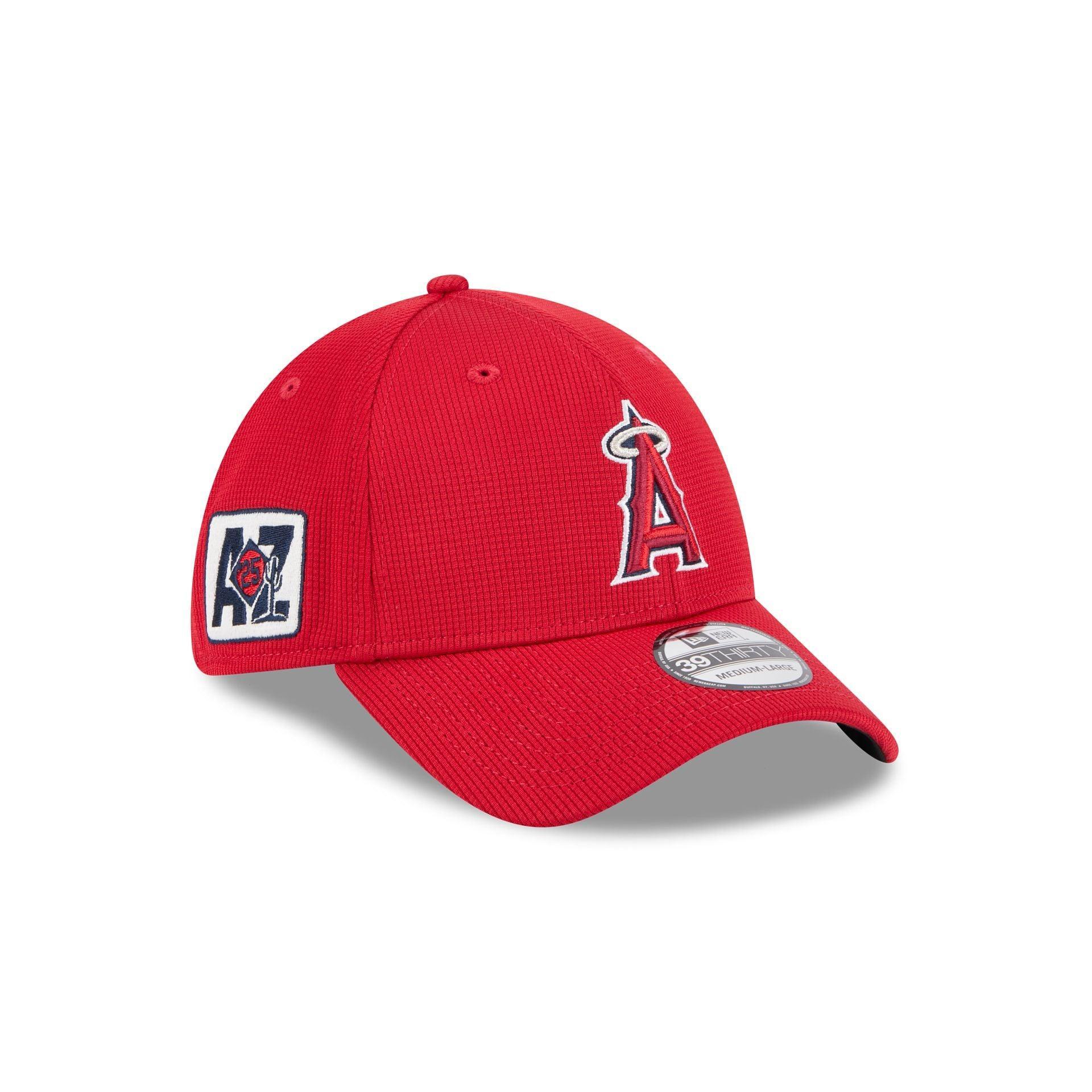 Las Vegas Raiders Meadow Stitch 9TWENTY Adjustable Hat Male Product Image