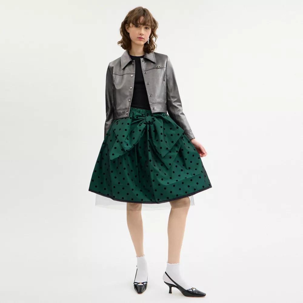 Flocked Taffeta Skirt Product Image