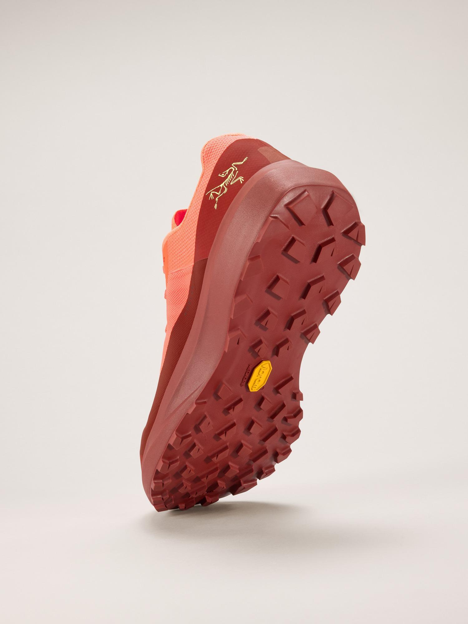 Norvan LD 4 Shoe Men's Product Image