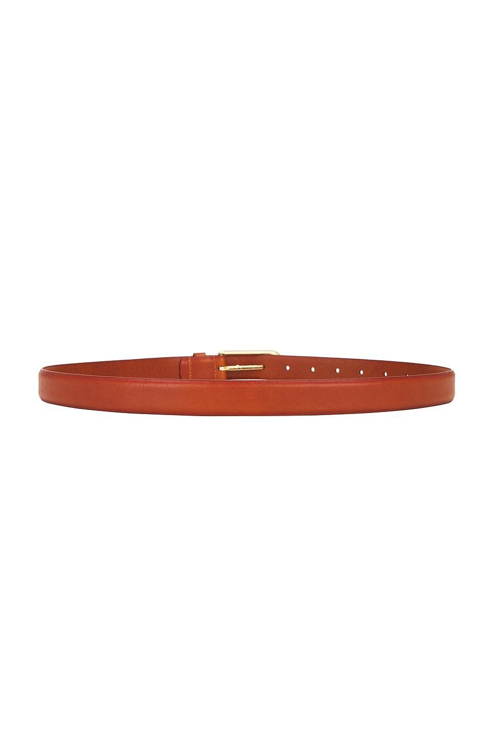 studded leather belt Product Image