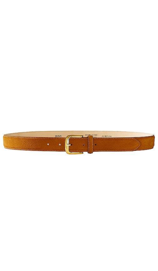 Camel Suede Belt Product Image