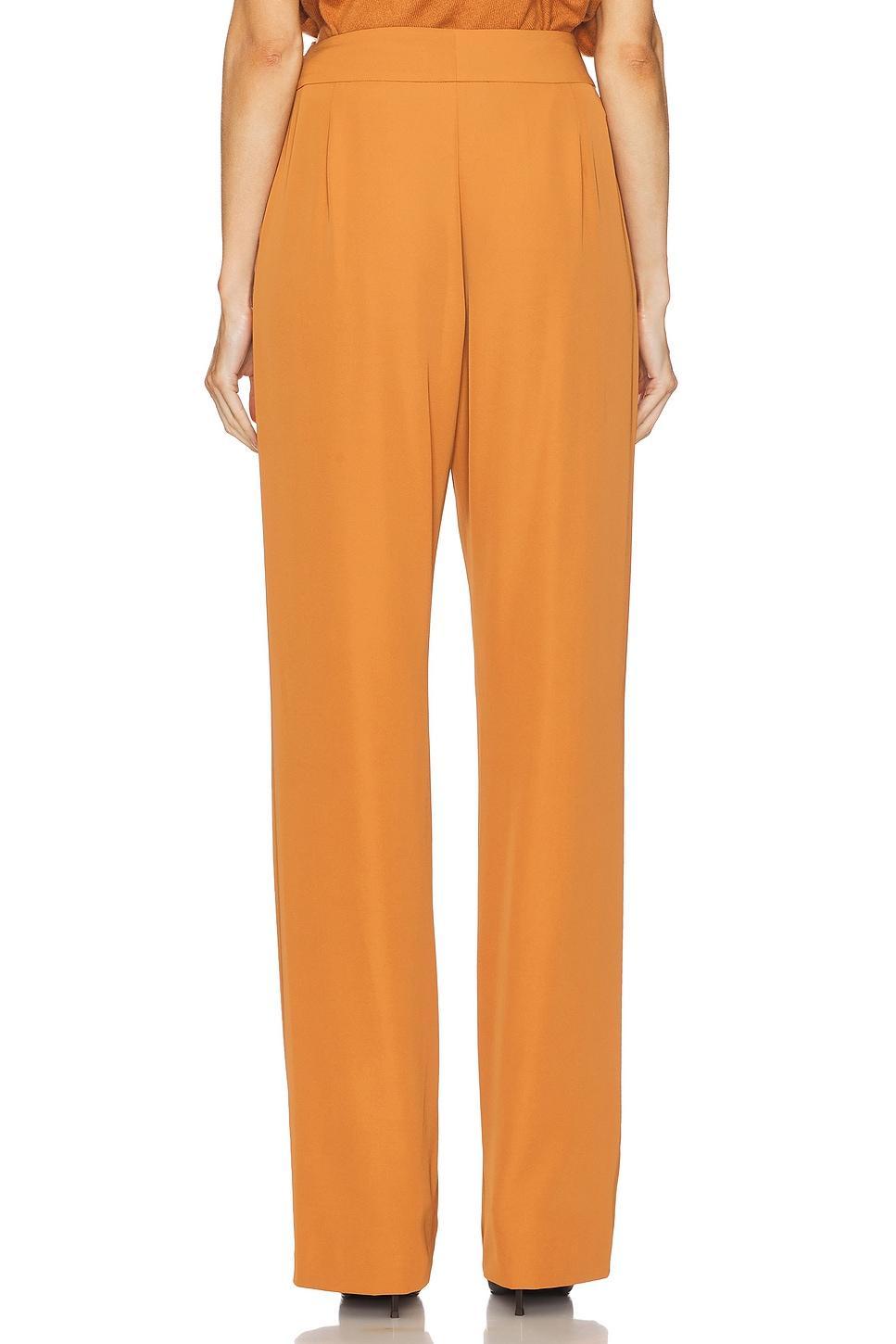 Double Pleat Trouser The Sei Product Image