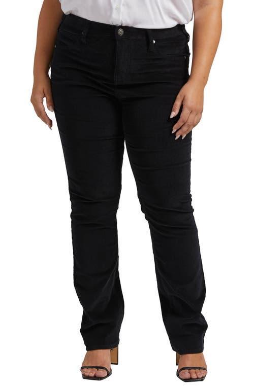 Jag Jeans Plus Size Ruby Mid-Rise Straight Leg Pants Women's Clothing Product Image