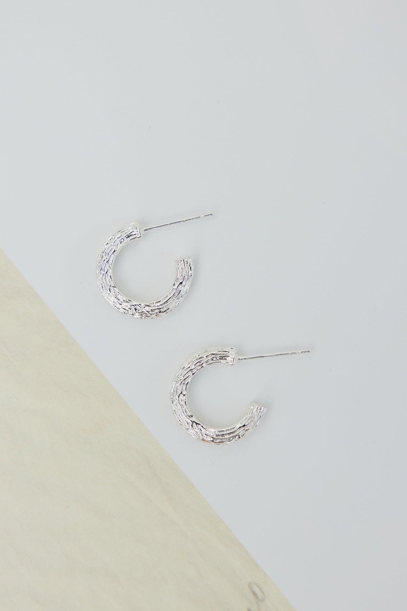 Sybella Earrings Silver Product Image