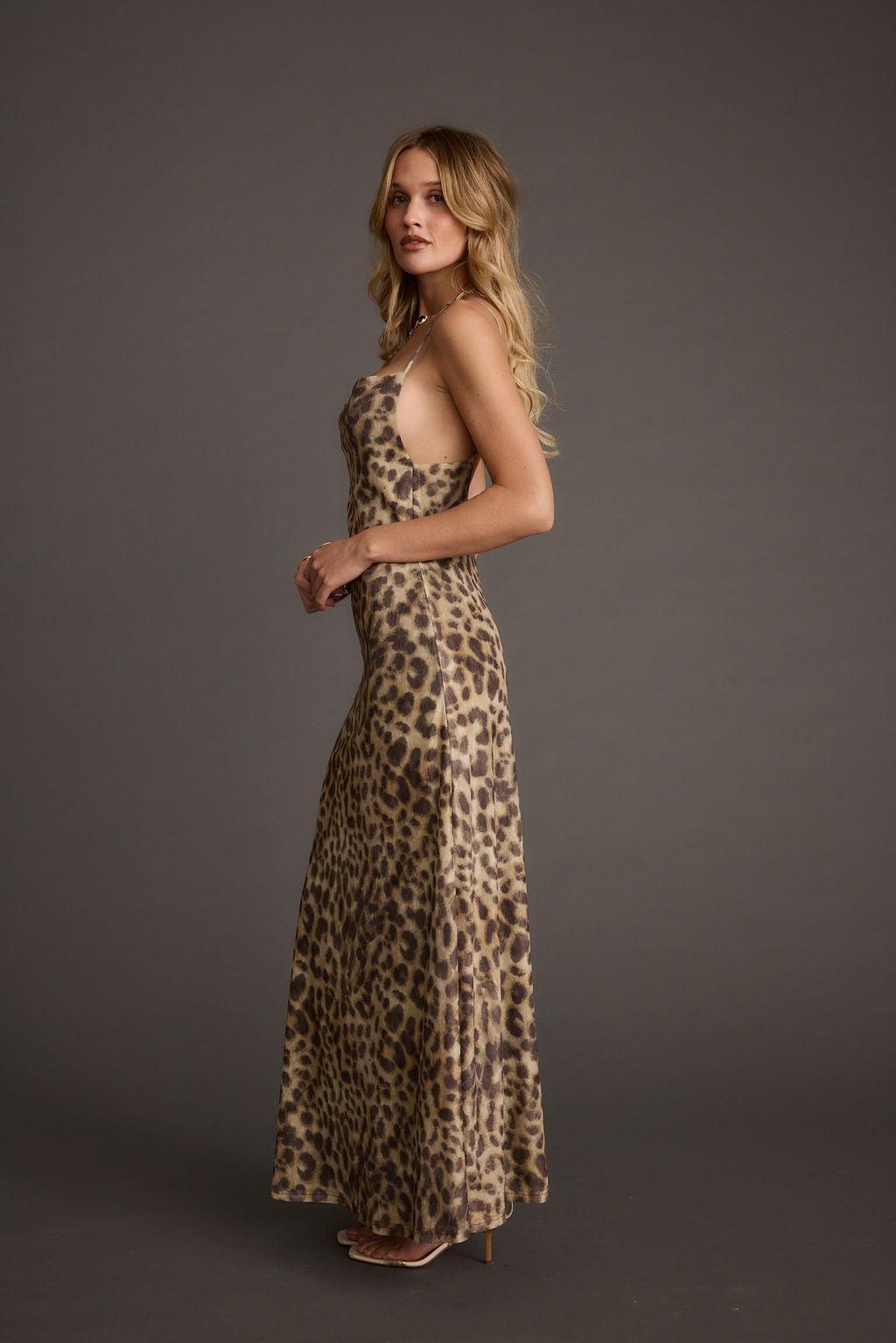 Wild Thing Leopard Print Mesh Maxi Dress Product Image