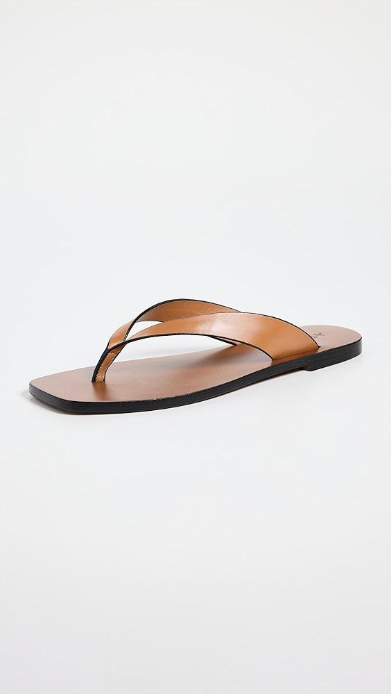 Ancient Greek Sandals Saionara Jelly Flip Flops | Shopbop Product Image