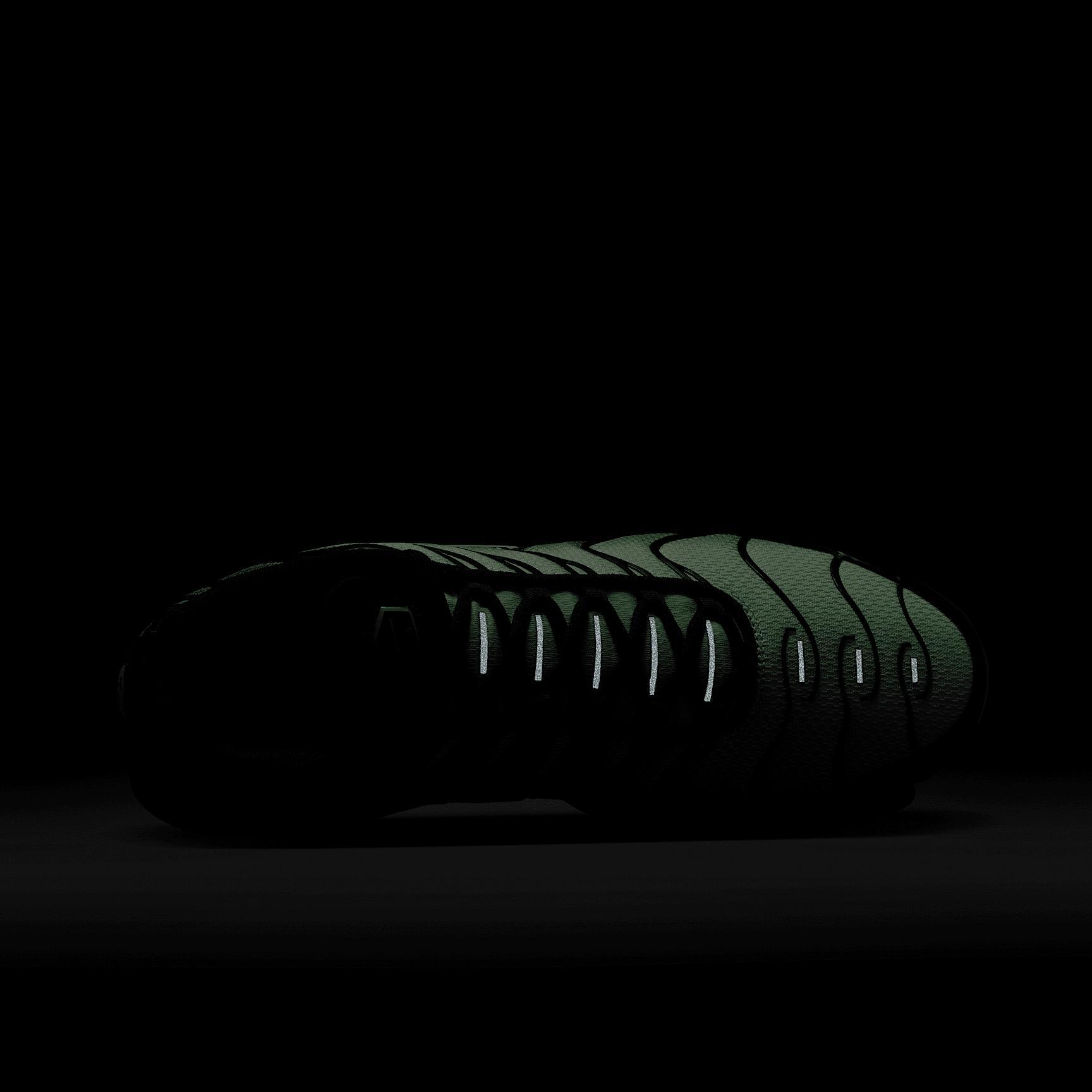 Nike Air Max Plus Men's Shoes Product Image