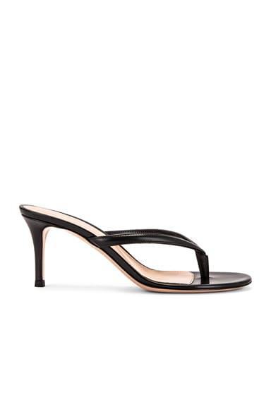 Gianvito Rossi Thong Sandals Product Image