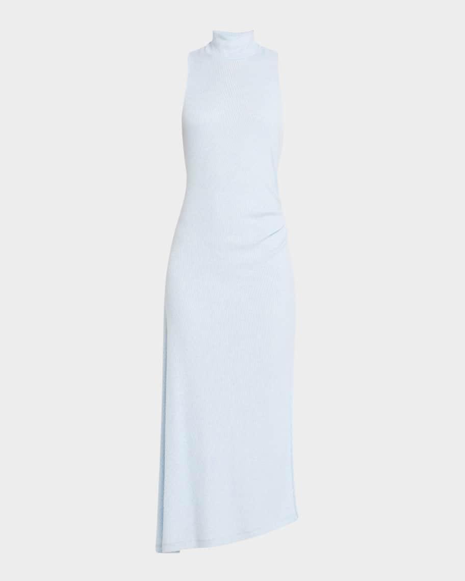 Ximena Turtleneck Midi Dress Product Image