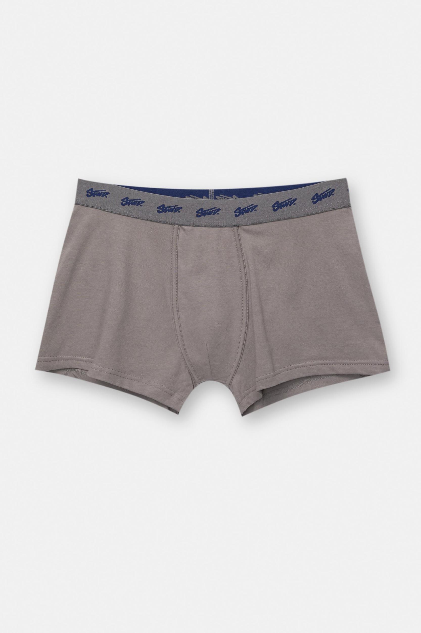 3-pack of blue STWD logo boxers Product Image