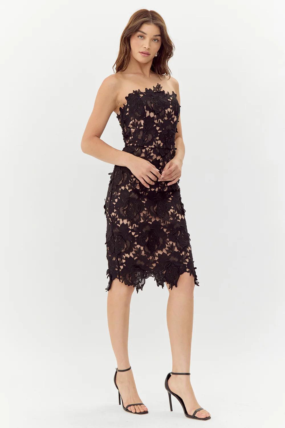 Jade Woven Lace Tube Dress- Black/Nude Product Image