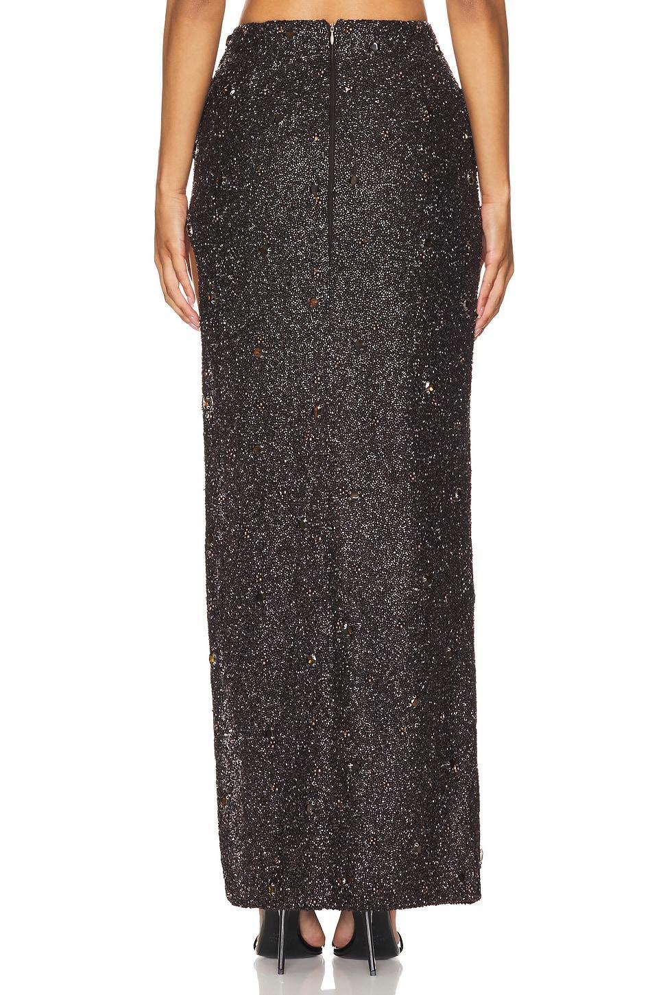 Mesh Maxi Skirt Product Image