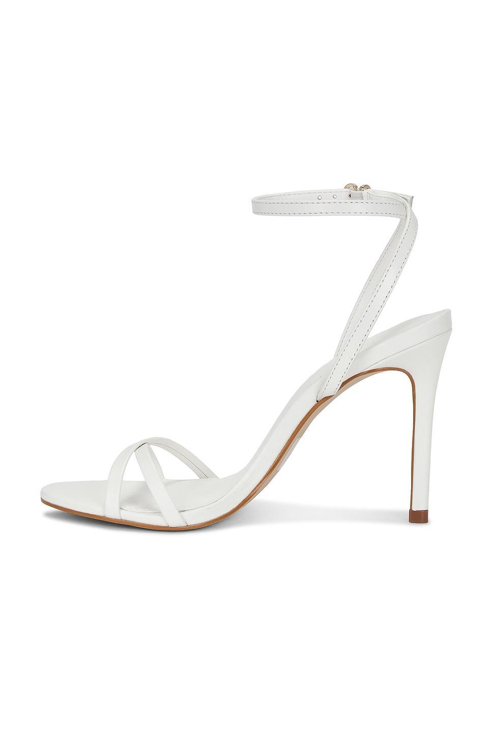 Jypsey Sandal Steve Madden Product Image