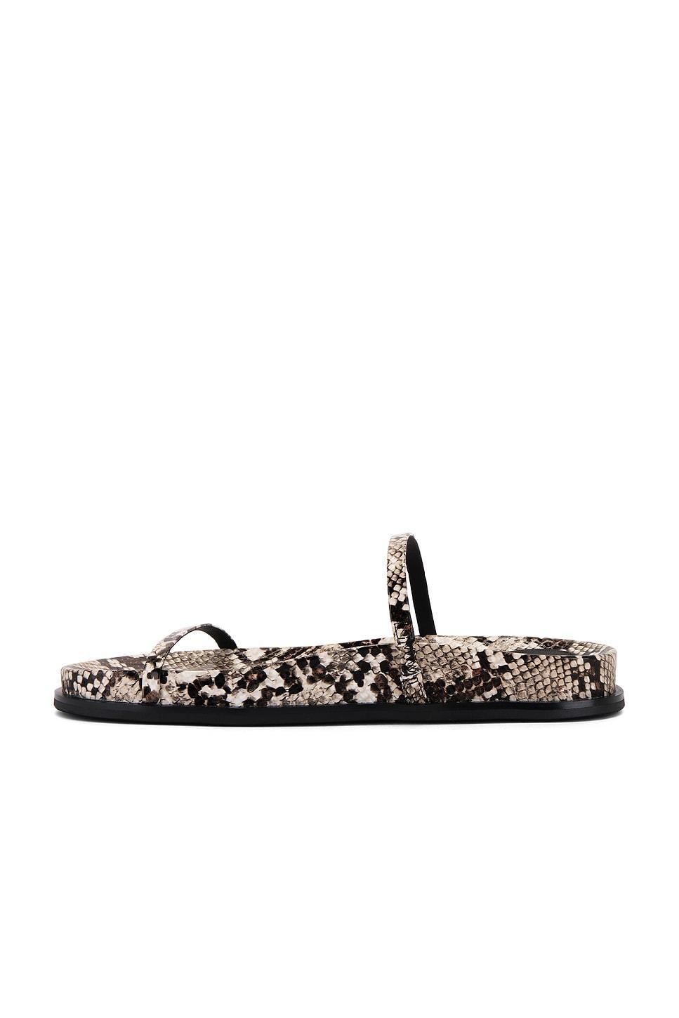 De Milo Sandal Jeffrey Campbell Product Image