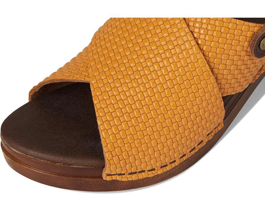 Oliva W2G Product Image
