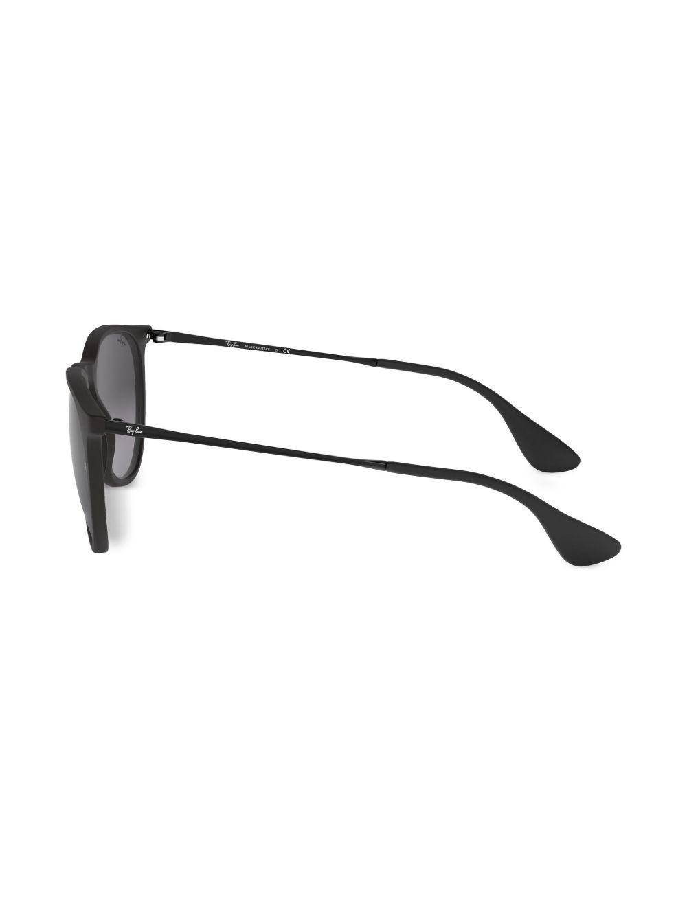 Erika Classic sunglasses Product Image
