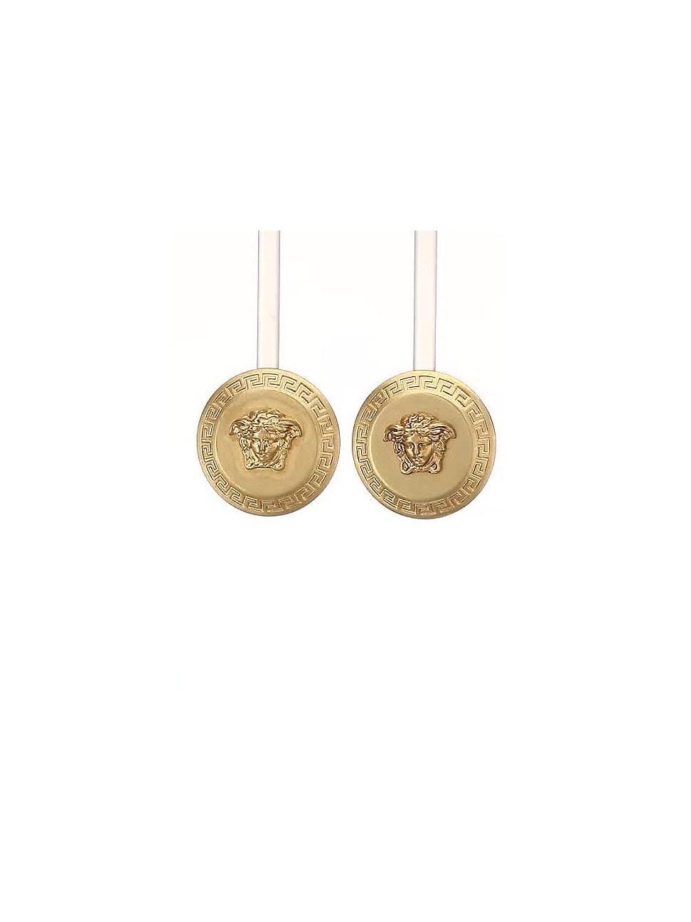 Tribute Loop Earrings Product Image