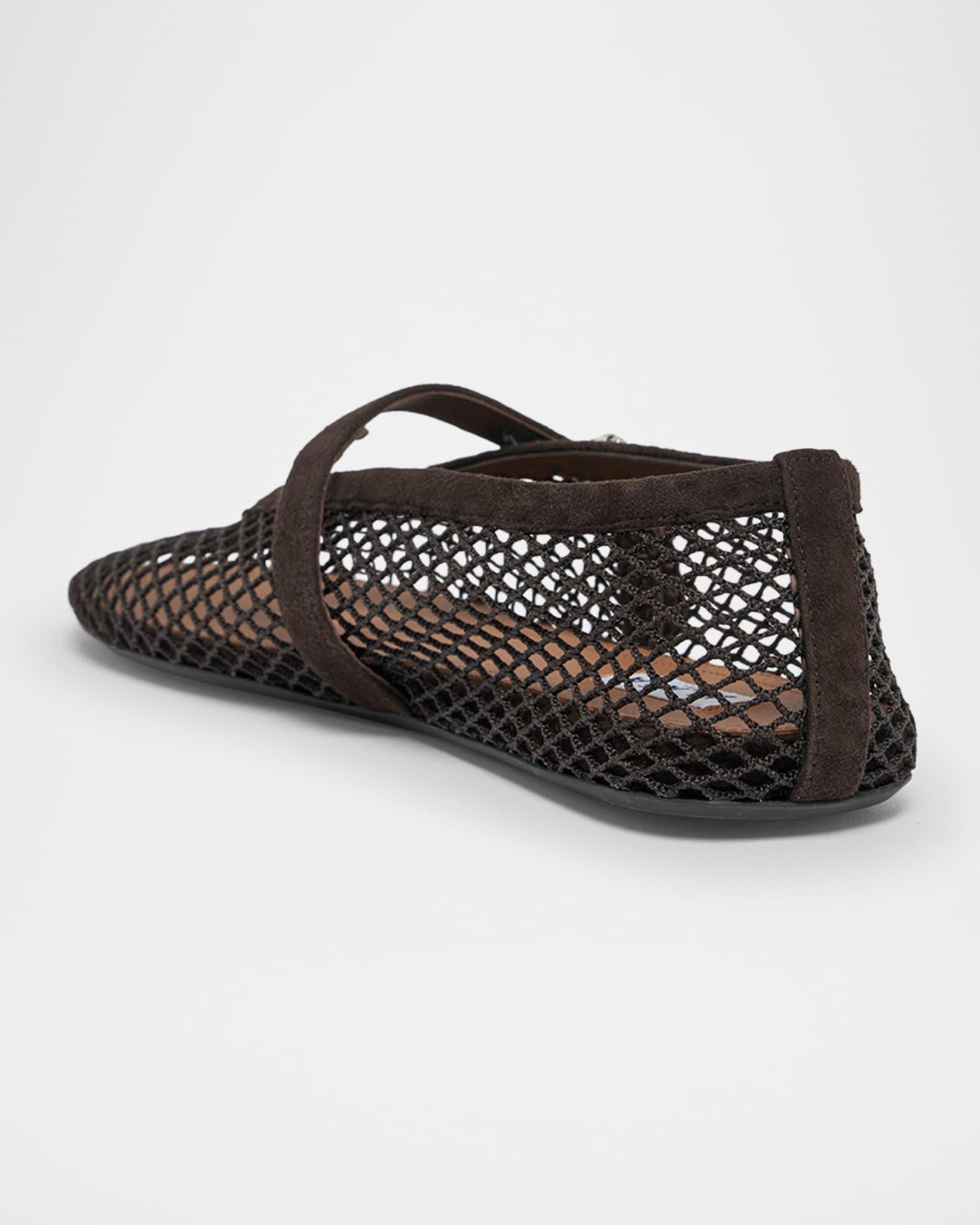 Mesh Mary Jane Suede Ballerina Flats Product Image