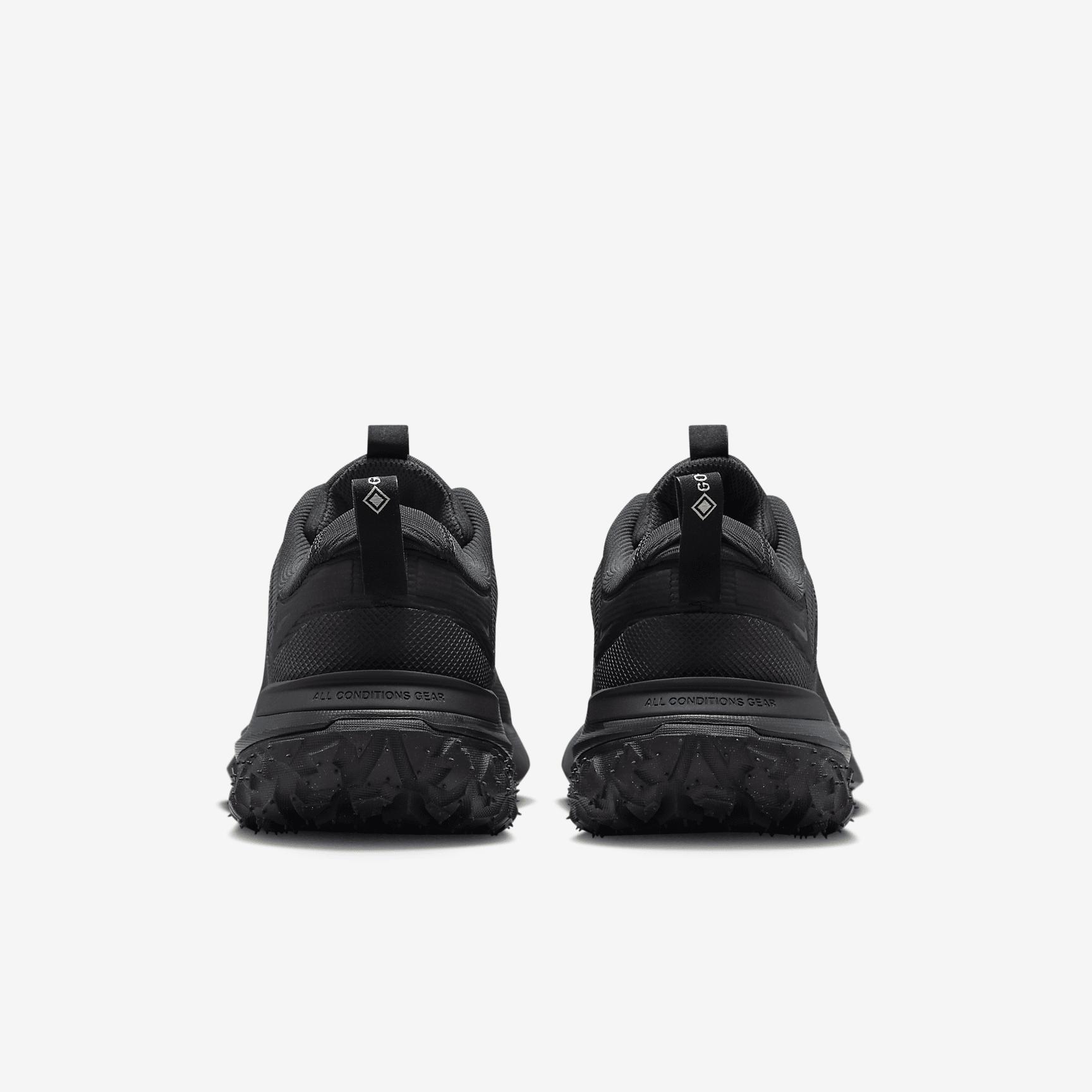 Men's Nike ACG Mountain Fly 2 Low GORE-TEX Shoes Product Image