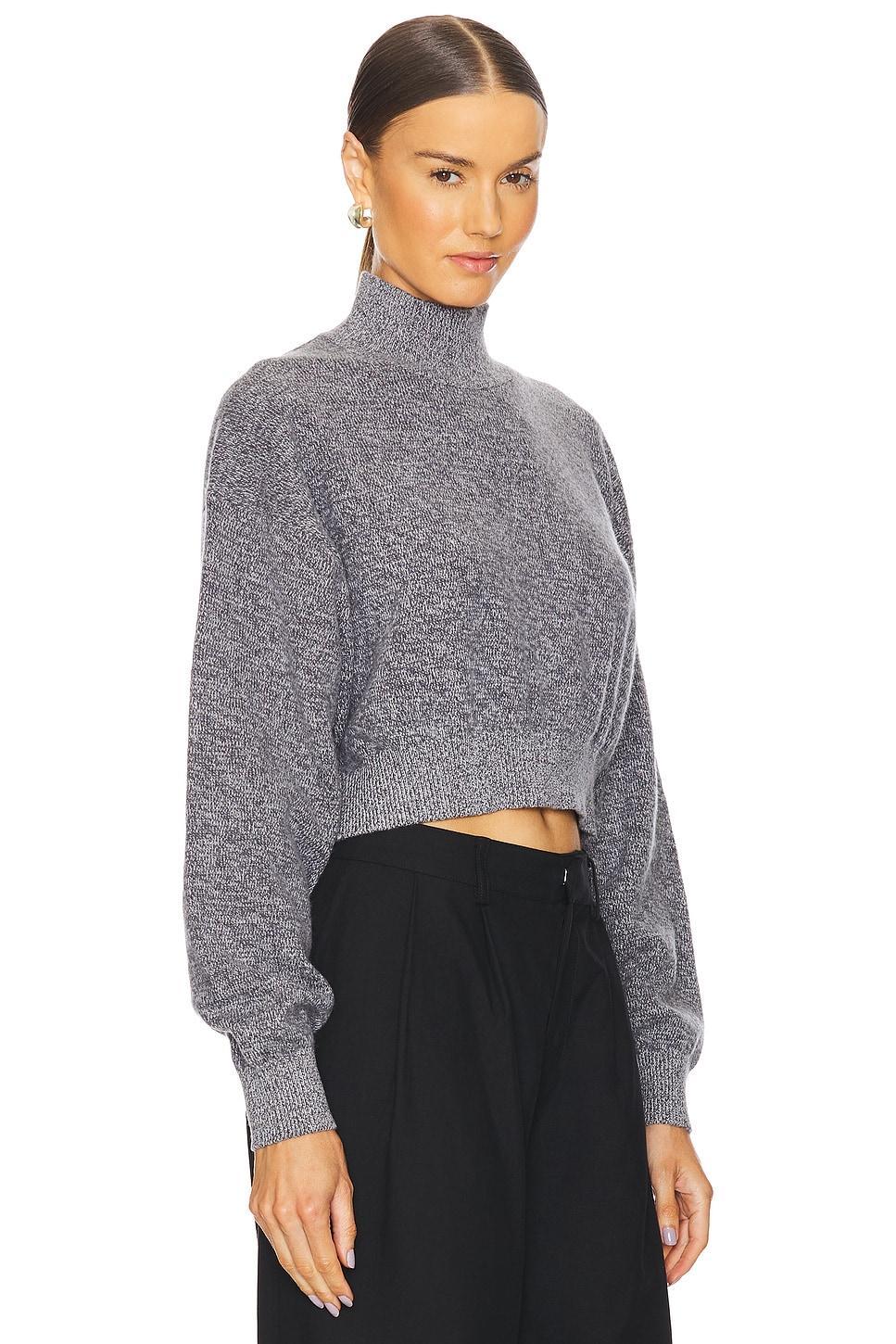 Long Sleeve Turtleneck Pullover Alexander Wang Product Image